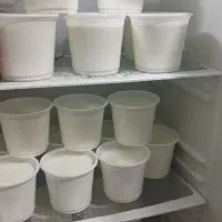 ماست گاومیش همه روزه موجود داریم