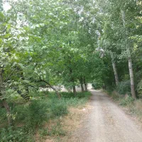 باغ|فروش خانه و ویلا|فیرورق, |دیوار