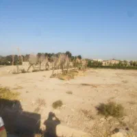 زمین ثناجو موقعیت سرمایه گذاری|فروش زمین و ملک کلنگی|محمدشهر, علی آباد گونه|دیوار