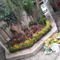 خدمات باغبانی باغچه کاری تعویضی خاک گلدون کاشت گل