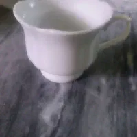 ظروف و فنجان|ظروف سرو و پذیرایی|رشت, حمیدیان|دیوار