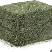 یونجه
