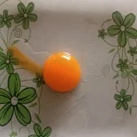 تخم مرغ محلی زرده طلایی