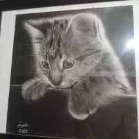 سیاه‌‌قلم|تابلو، نقاشی، عکس|قم, پردیسان|دیوار