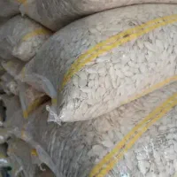 تخمه کدو آجیلی شماره تماس