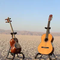 استخدام مربی ساز ارگ پیانو تار چنگ نی انبون تمبک