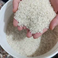 برنج طارم هاشمی معطر