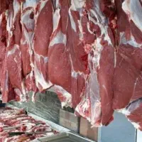 سوپر گوشت وقصابی کاور وشک پروار ترجگ کبابی چاق