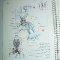 کتاب تمرینات قدرتی کل بدن ویژه مربیان و ورزشکاران|کتاب و مجله آموزشی|تهران, خواجه نظام الملک|دیوار