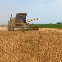 کمباین کلیسون مدل ۵۸|خودرو سنگین|اردبیل, |دیوار