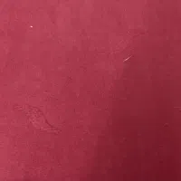 پادری