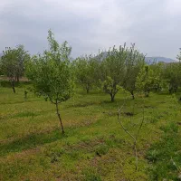 باغ در خراجو آذرشهر