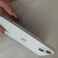 اپل iPhone 13 با حافظهٔ ۲۵۶ گیگابایت|موبایل|تبریز, |دیوار