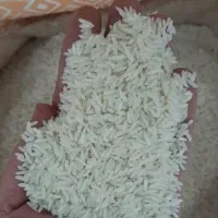 برنج علی کاظمی محلی بروجرد