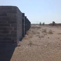 25قصب زمین کشاورزی|فروش زمین و ملک کلنگی|زید آباد, |دیوار