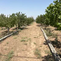 1002مترزمین-سندتکبرگ-سهیلیه-زعفرانیه-کردان