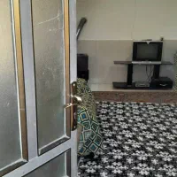 اجاره سوییت|اجارهٔ کوتاه‌مدت آپارتمان و سوئیت|چالوس, |دیوار