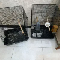 قفس پرند بزرگ