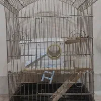 قفس در حد نو ۱۲۰۰۰۰۰ت