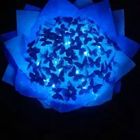 بوکت پروانه ای