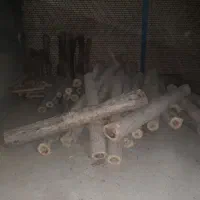 چوب صنوبر و تبریزی