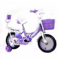 دوچرخه موتوری ومدلهای دیگر|دوچرخه، اسکیت، اسکوتر|شوش, |دیوار