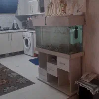 اکواریوم شیشه خم یک متری با میز پایه|ماهی|مشکیندشت, |دیوار