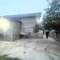 شمال-سیمرغ-کیاکلا