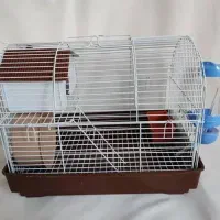 همستر کادویی با لوازم کامل و رنگبندی متنوع|موش و خرگوش|اصفهان, آهنگران|دیوار