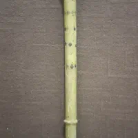 چوب دستی