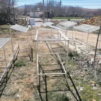 قفسه تربار  در سپیدان