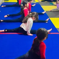 آموزش تخصصی ژیمناستیک