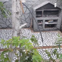 اجاره خانه باغ دلباز مهریز