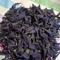 گل گاوزبان