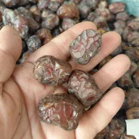 خرما مرداسنگ آلوچه ای زاهدی کبکاب پیارم|خوردنی و آشامیدنی|یزد, |دیوار