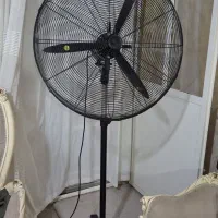 پنکه ایستاده