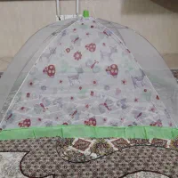 پشه بندچتری