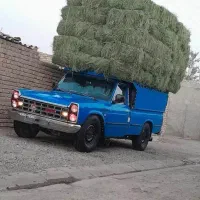 یونجه درجه یک تمیز