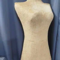 مانکن سوزن خور