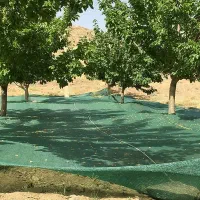 شید 30، 50، 60، 80و 90درصد تورینه بافت توری سایبان|خدمات باغبانی و درختکاری|تهران, کوهک|دیوار
