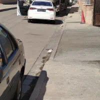 همه روزه به غیر از روزهای تعطیل تقویم