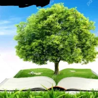 هرس کار ماهر