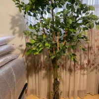 درخت مصنوعی پرتقال بلند بدون گلدان