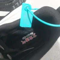 کفش کتانی مستر|کیف، کفش، کمربند|بوشهر, |دیوار