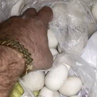 سنگ الماس لواندوسیت|جواهرات|بیرجند, |دیوار