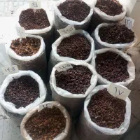 کشمش فروشی میثم