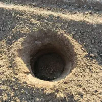 چاله کنی یا چاله زنی نهال وجای فنس