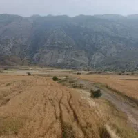 فروش-زمین-زراعی