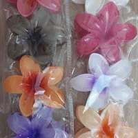 کلیپس پلومریا وارداتی با کیفیت و قیمت مناسب