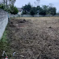 اجاره دادن ۸۰۰متر زمین شراکتی جهت کاشت باقیلا|اجارهٔ دفتر صنعتی، کشاورزی، تجاری|تالش, طولارود|دیوار